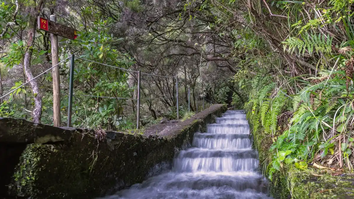 Levada Walk through lush green forests and waterfalls